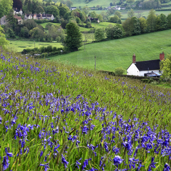 Horningsham, Wiltshire