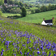Horningsham, Wiltshire