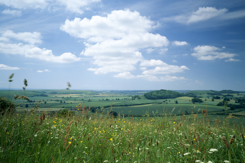 Brimsdown Hill