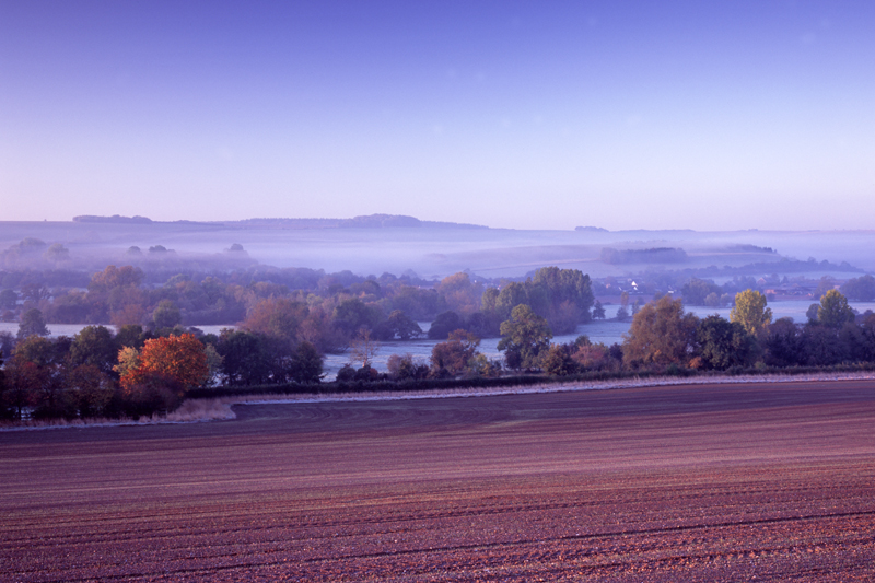 Autumn Mist