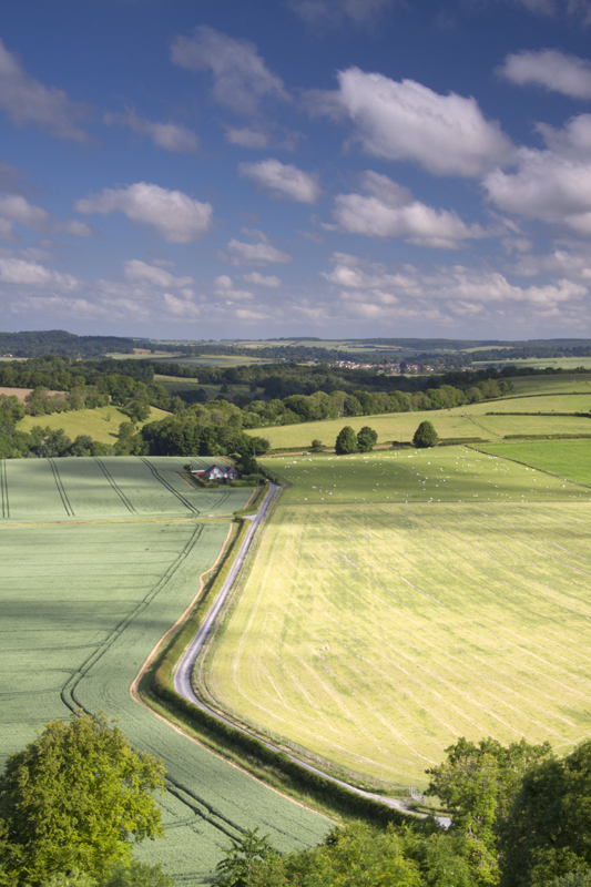 Nadder Valley