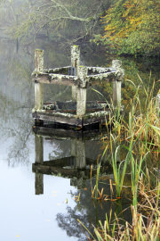 Still Waters