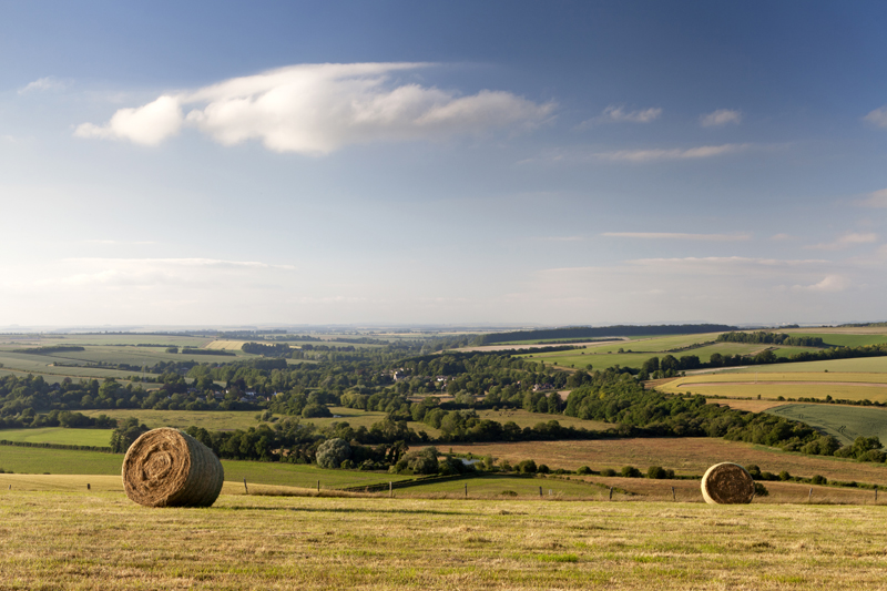 Ebsbury Hill