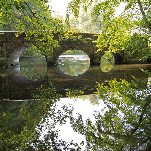 The River Avon at Netton in the Woodford Valley, Wiltshire.