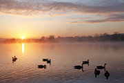 Sunrise, Langford Lakes