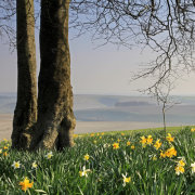 Summerslade Down, Brixton Deverill