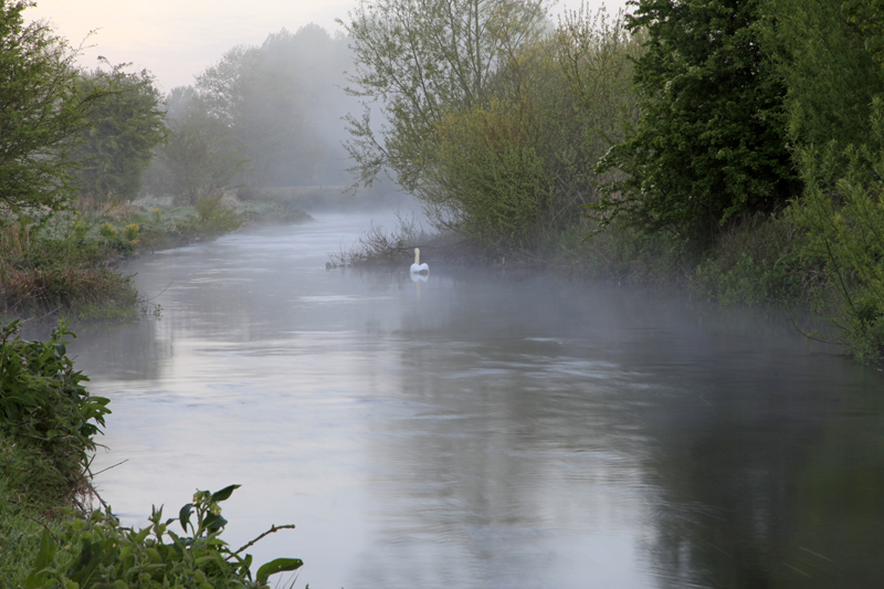 Dawn on the Wylye