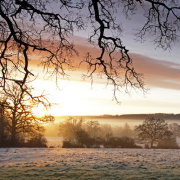 Sunrise, Dinton Park