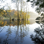 The lake at Fonthill