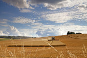 Harvest, Great Wishford