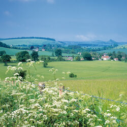 Monkton Deverill