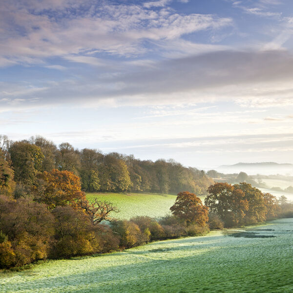 An autumn morning at Newtown