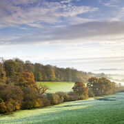 An autumn morning at Newtown