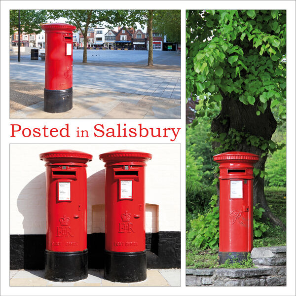Posted in Salisbury
