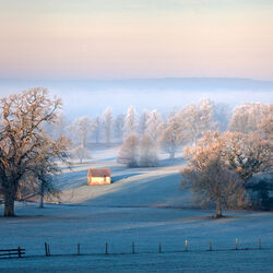Hoar frost near Pythouse