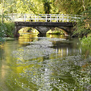 The River Ebble, Broad Chalke