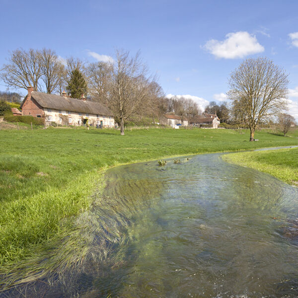 The River Ebble, Fifield Bavant