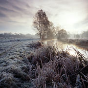 River Wylye, Fisherton de la Mere