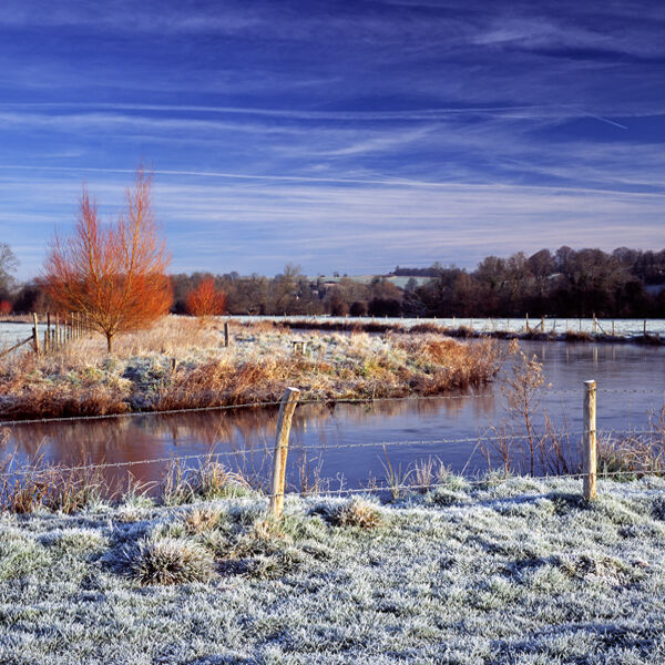 The River Wylye, Stapleford