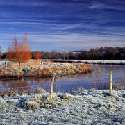 The River Wylye, Stapleford
