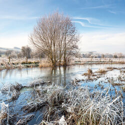 The River Wylye, Steeple Langford