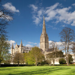 Spring in the Cathedral Close, Salisbury