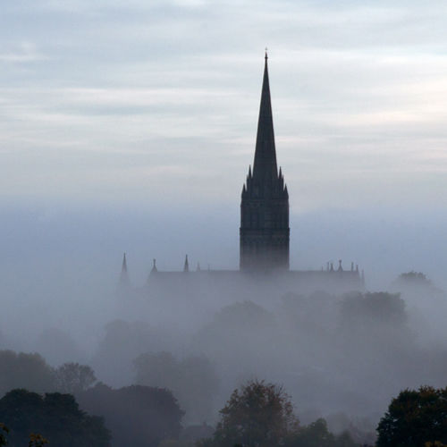Early morning mist, Harnham Hill