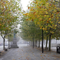 Market Square, Salisbury