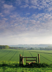 Sherrington