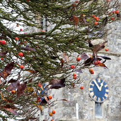 St. Giles' Church, Great Wishford