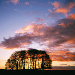 Sunset, Stockton Down