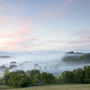 Evening mist at Sutton Mandeville