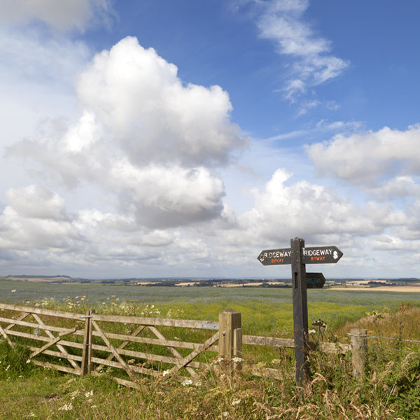 The Ridgeway, Hackpen Hill, Wiltshire