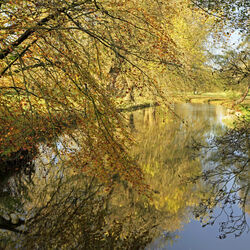 The River Avon at Netton in the Woodford Valley