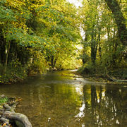 The River Wylye, Heytesbury Mill