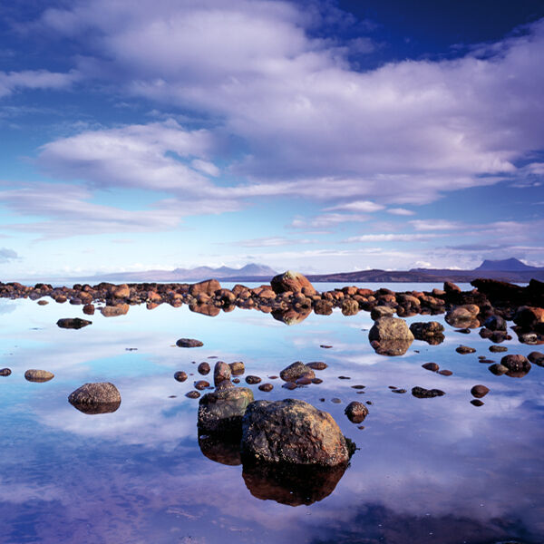 Tidal Pool
