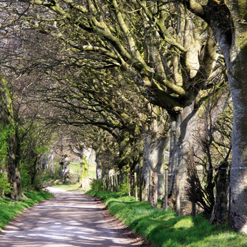 The Wessex Ridgeway, Corton Hill