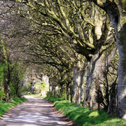 The Wessex Ridgeway, Corton Hill