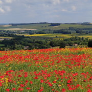 Whiten Hill near Tytherington