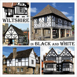 Wiltshire in Black and White