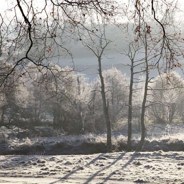 Winter sunlight, Tisbury, Wiltshire