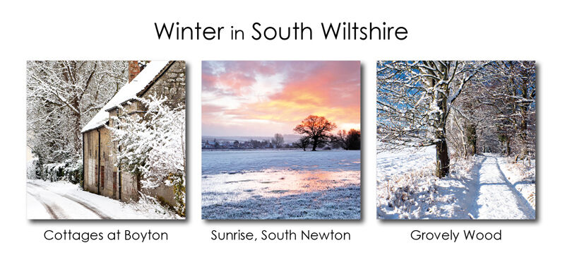 Winter in South Wiltshire 1