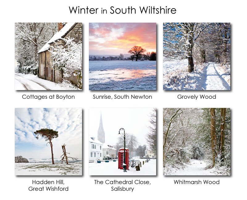 Winter in South Wiltshire 3