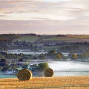 Corton