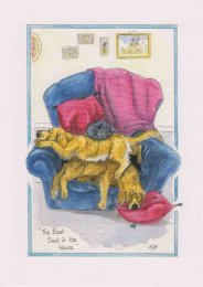 AD111 - The best seat in the house