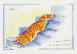 C158 - Naps ... can occur suddenly and without warning!
