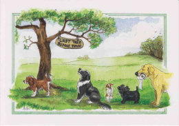 D107 - Last tree before town