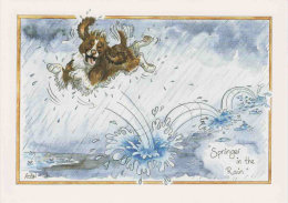 D115 - Springer in the rain!