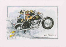 D116 - Hell's Chihuahas!