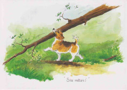 D135 - Size Matters!